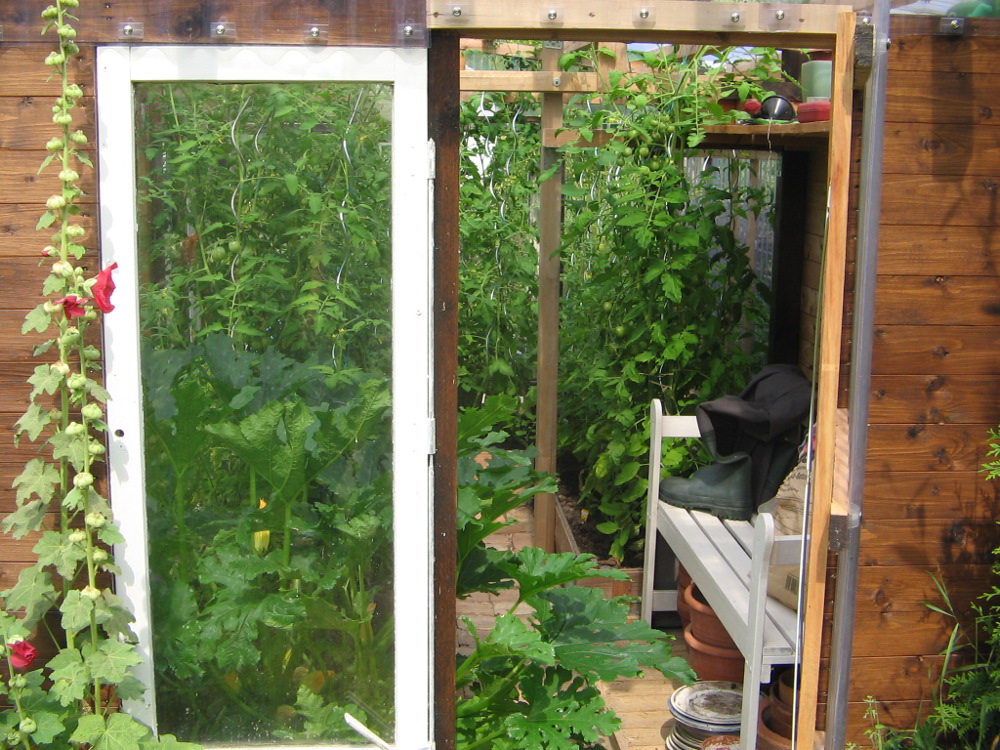 Tomaten und Gurken im Gewächshaus Stand Ende Juli 2014